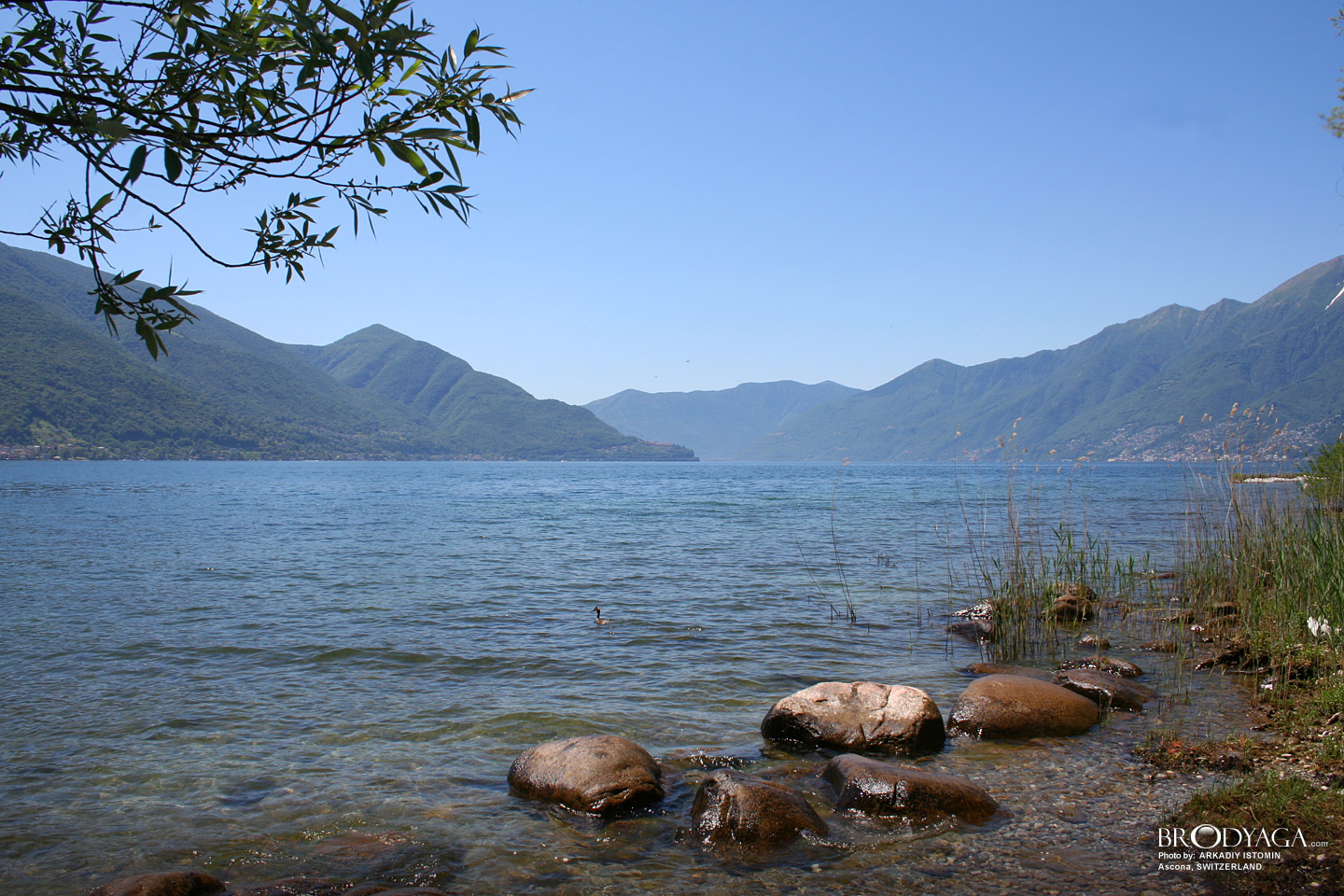 Ascona